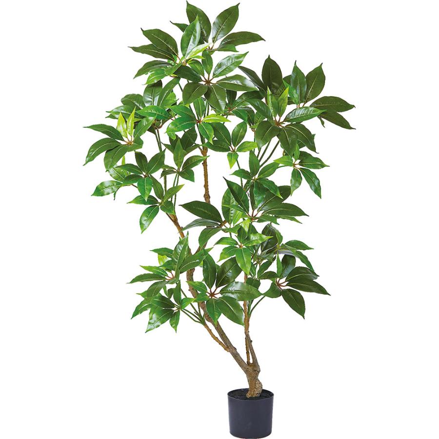 観葉植物 ツピダンサス おしゃれ インテリアグリーン 人工観葉植物