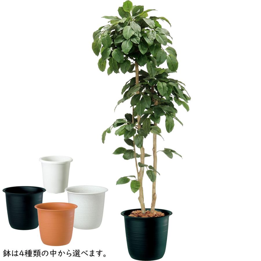 フェイクグリーン 大型 おしゃれ 人気 観葉植物 インテリアグリーン