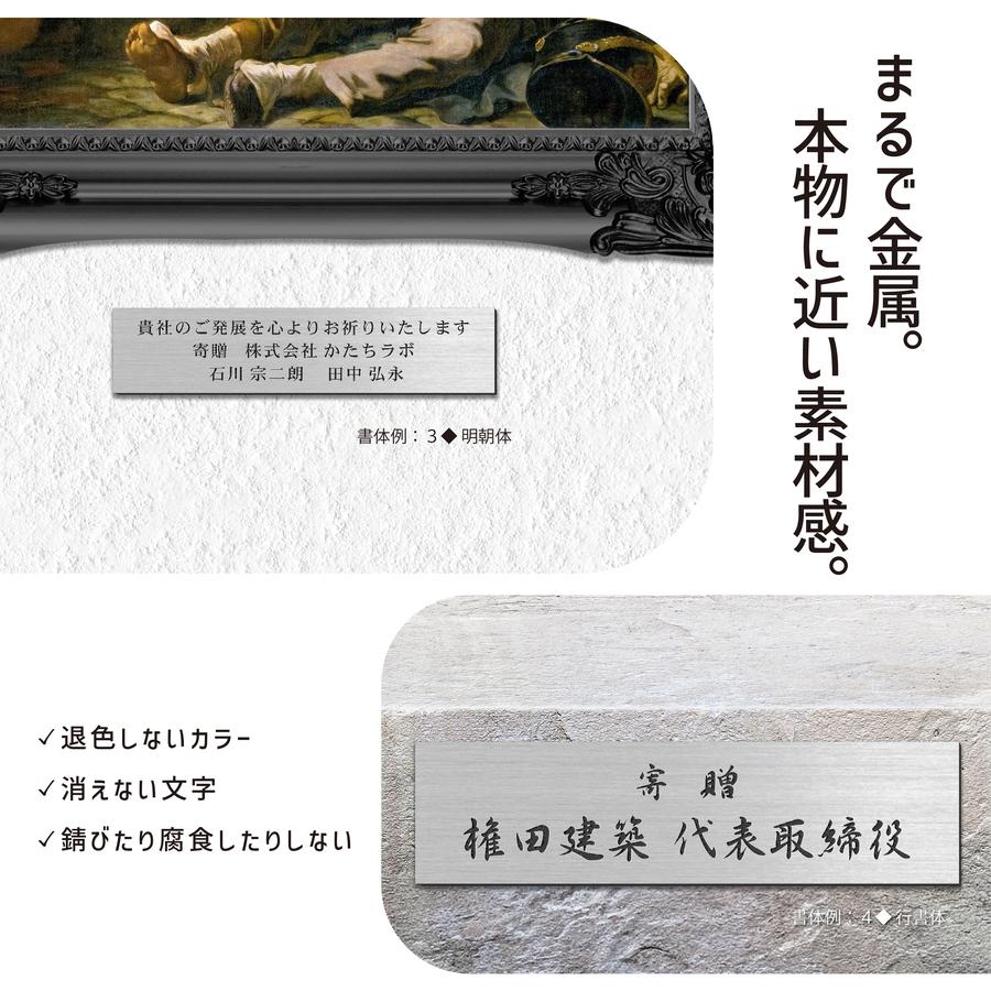 かたちラボ 寄贈プレート M 230×60 ステンレス調 シルバー 記念 卒園