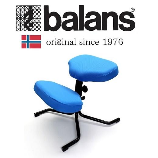 バランススタディ 正規品 バランスチェア カバーリング 国新産業 5064