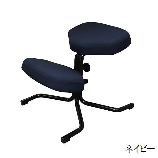 バランススタディ 正規品 バランスチェア カバーリング 国新産業 5064