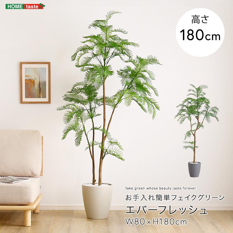 エバーフレッシュ フェイクグリーン 高さ180cm 観葉植物 フェイク 大型
