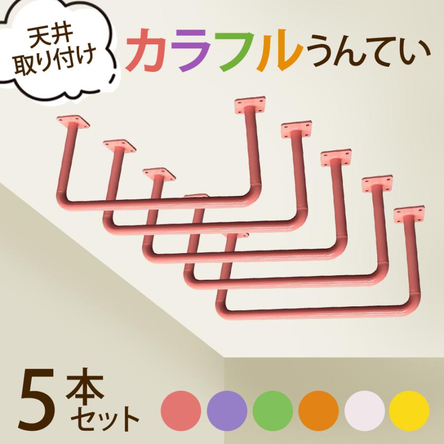 うんてい（取り付け式）同色5本セット 運動 子供 キッズ 室内 部屋 体