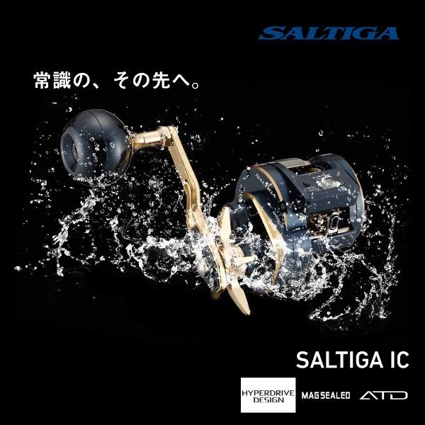 DAIWA（ダイワ） '21 ソルティガ IC 300 (G) [90] : かめや釣具 - 通販