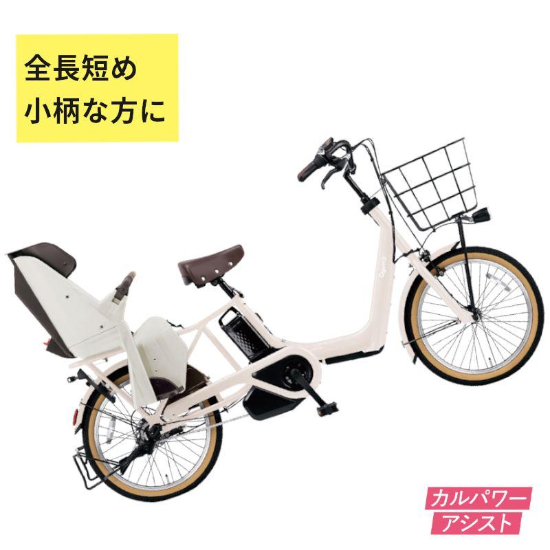 Panasonic（パナソニック） 完売御礼 ギュット・アニーズ・DX BE