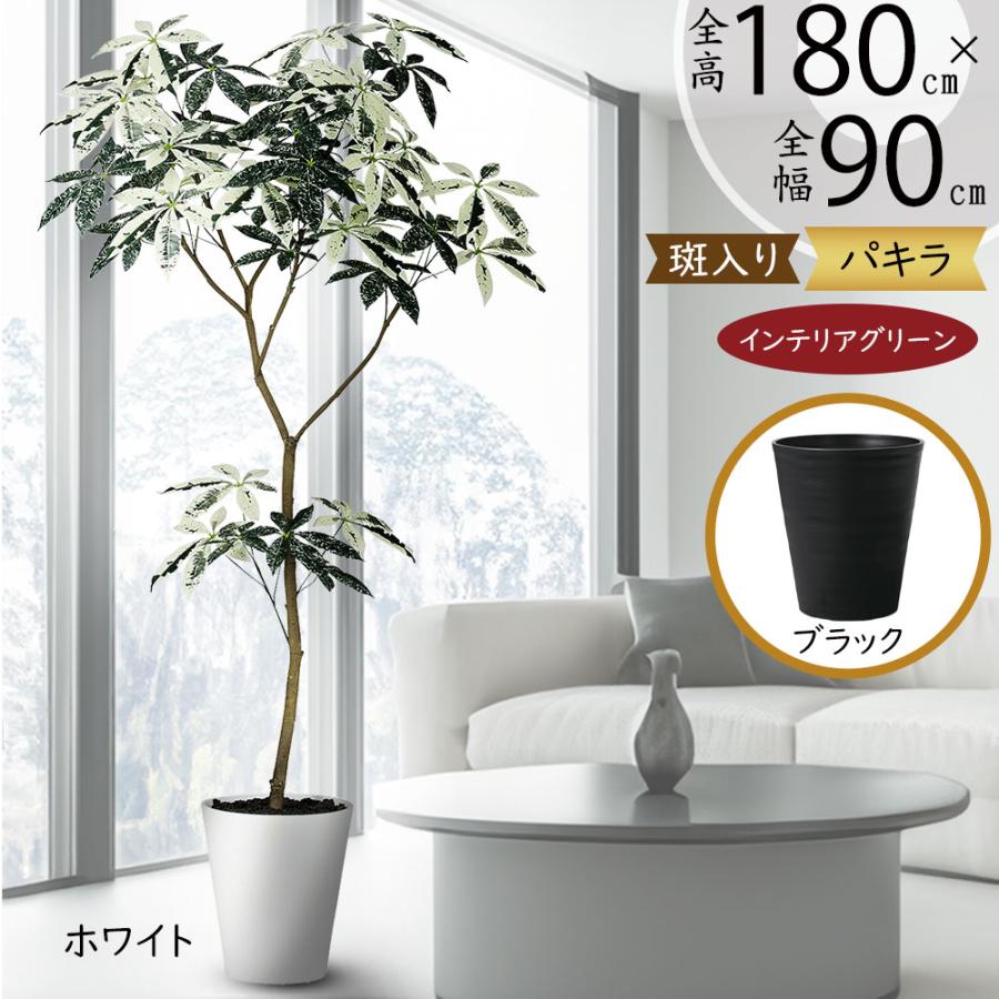 パキラ ミルキーウェイ おしゃれ 大型 インテリアグリーン 人工観葉