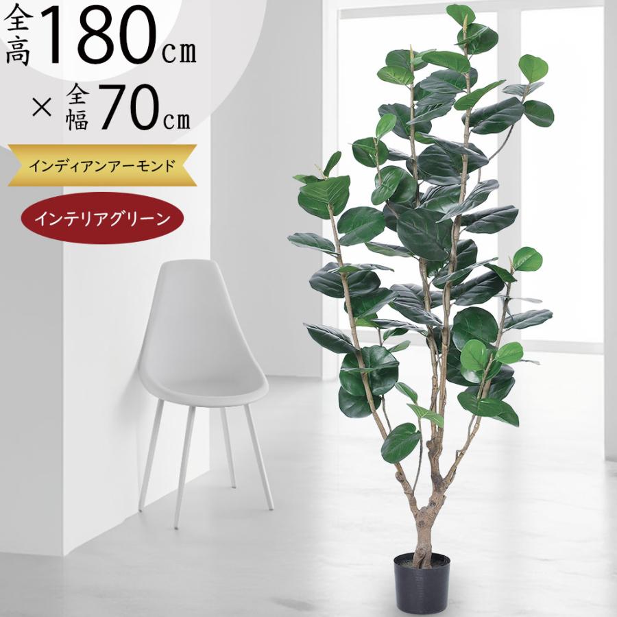 観葉植物 おしゃれ 大型 インテリアグリーン フェイク インディアン
