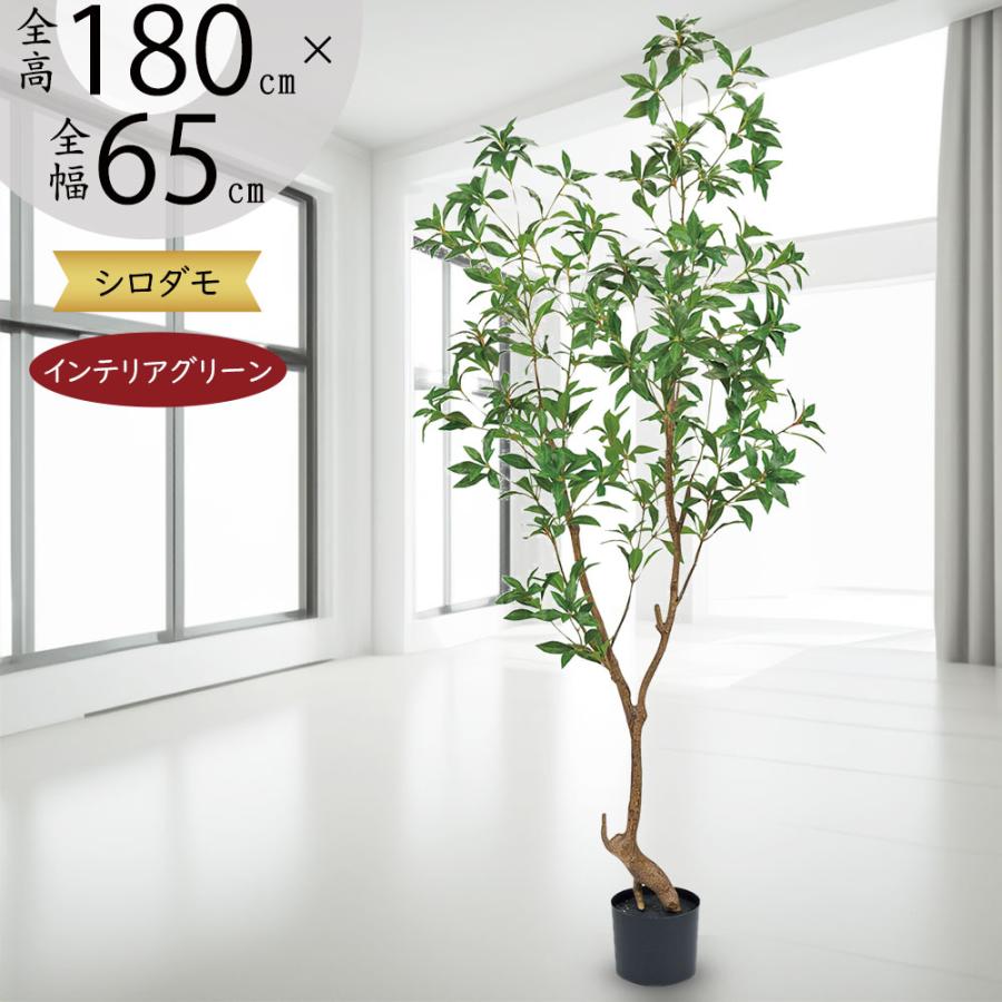 観葉植物 おしゃれ 大型 インテリアグリーン フェイクグリーン リアル