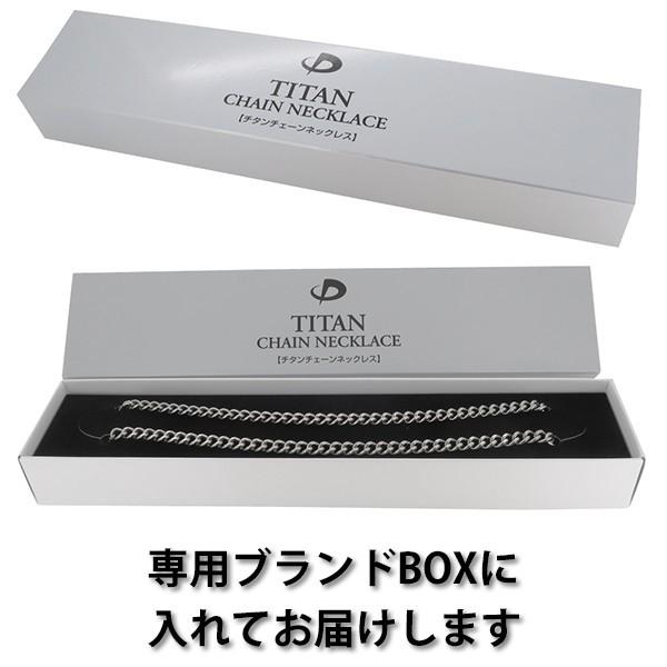 Phiten（ファイテン） チタンチェーン ネックレス 50cm | メンズ