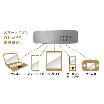 即納 タカラスタンダード バススピーカー どこでもスピーカー
