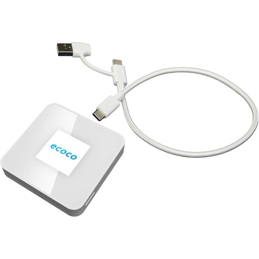 ecoco ポケットWi-Fi 新モデル 1年間 100GB データ付 契約不要 月額