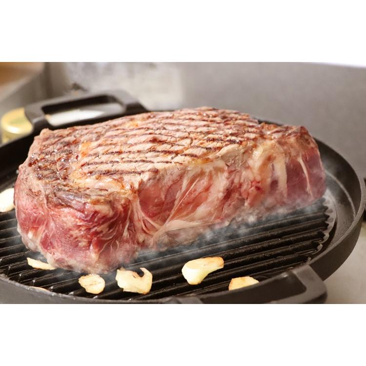 岩鋳（IWACHU） 焼肉プレート 南部鉄器 グリルパン 丸 29cm 日本製 IH