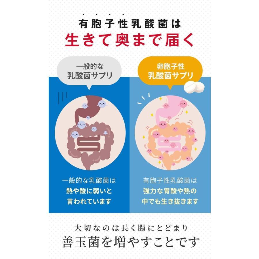 明治薬品 ラクトロン錠 180錠 指定医薬部外品 整腸 サプリメント 健康