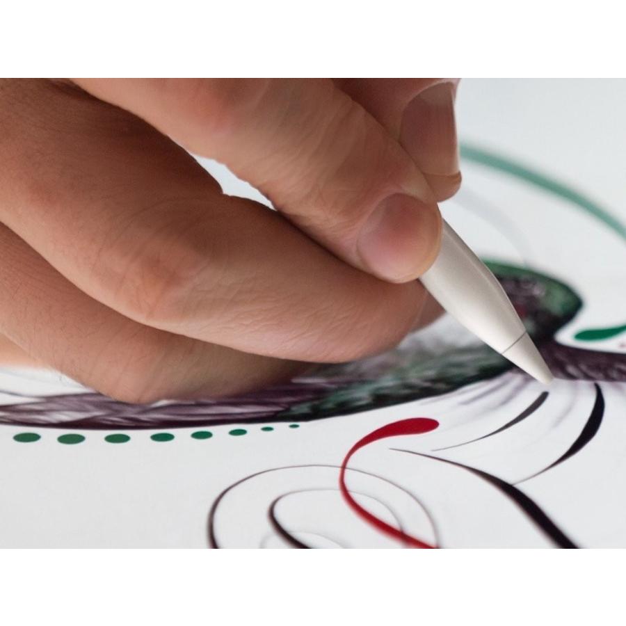iPad Pro 新品 Apple Pencil アップルペンシル Pro対応 第1世代