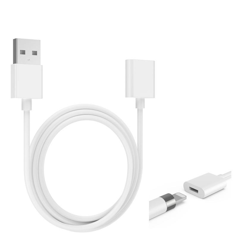 Apple Pencil 第1世代 充電ケーブル 1m ( USB - ライトニング メス