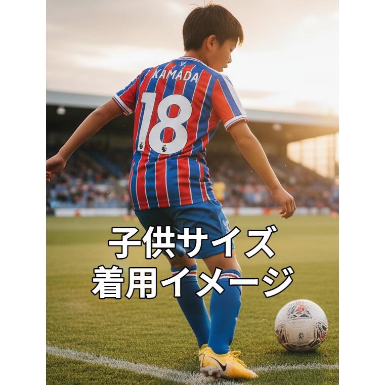 鎌田大地 ユニフォーム クリスタルパレス KIMO社製 ホームイメージ