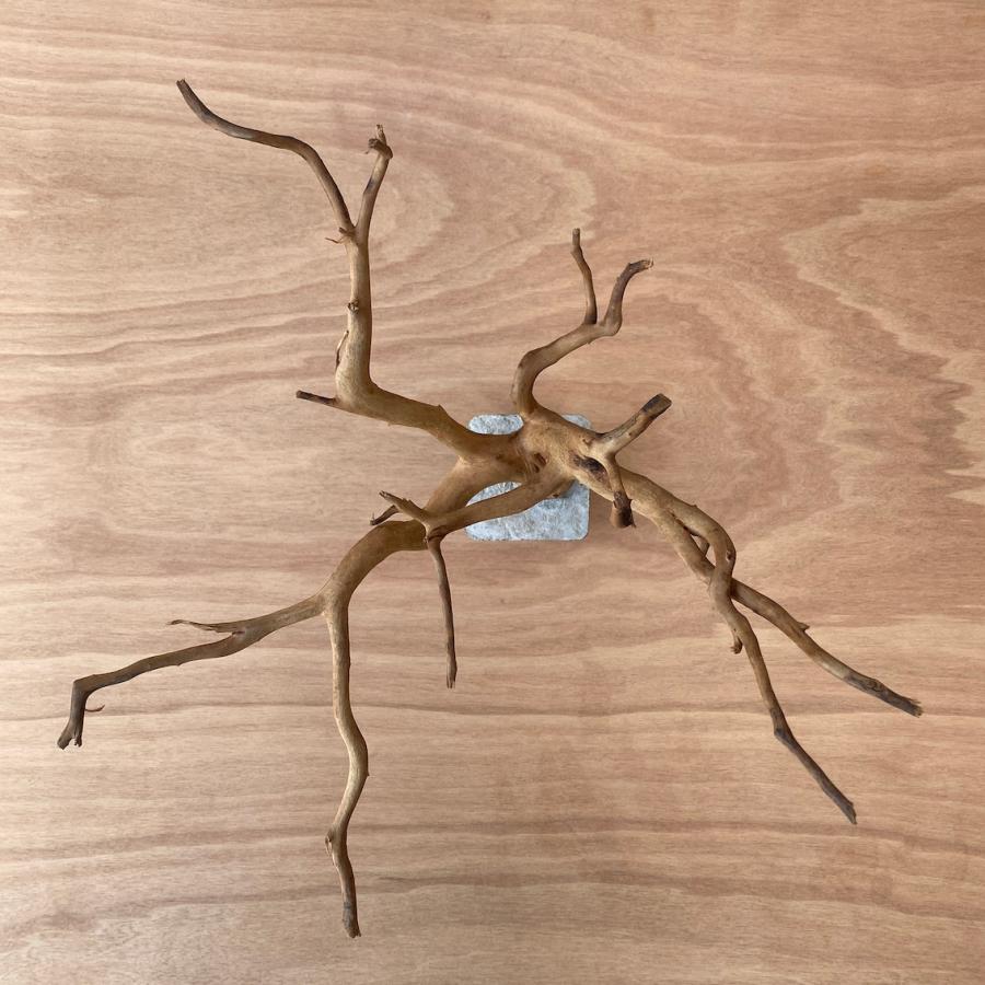 コンクリート盆栽 流木オブジェ】ディスプレイ 什器 アクセサリー