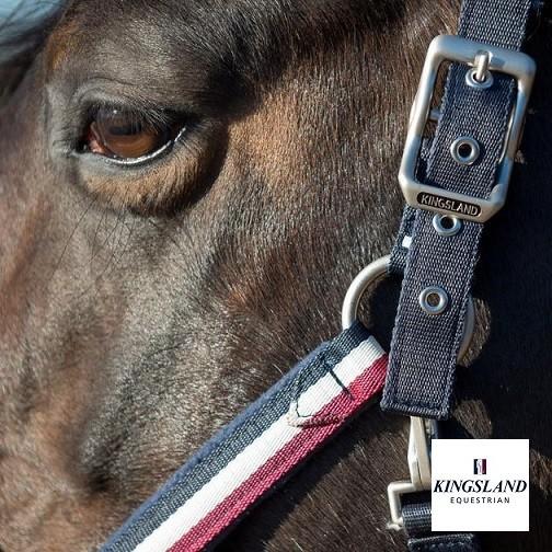 KINGSLAND キングスランド ホルター 無口 CLASSIC 乗馬 馬術 : KIND
