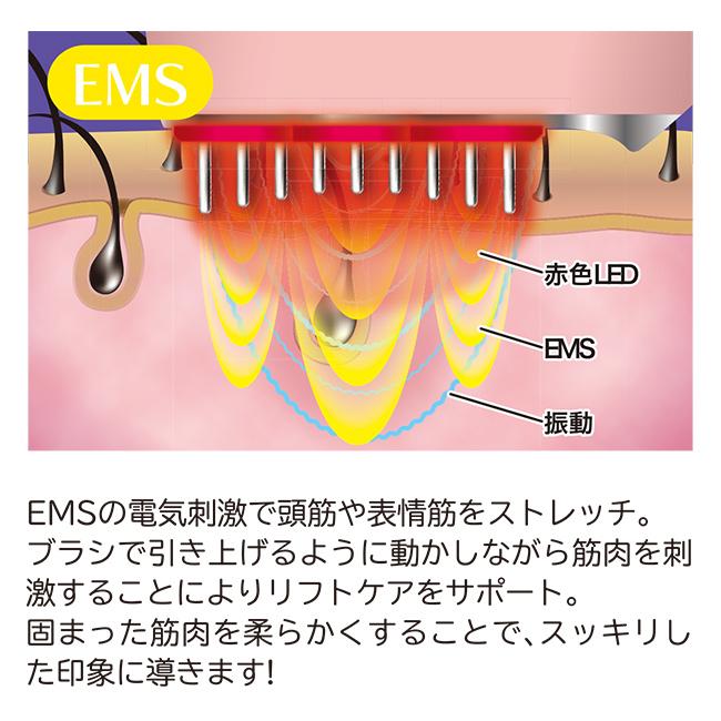 EMS＆RF リフトブラシボーテ(美顔器 EMS 筋肉 刺激 RF ラジオ波 美顔機