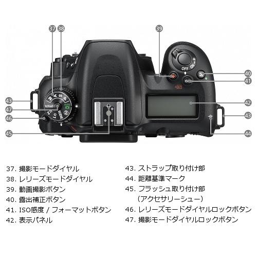 ニコン（Nikon） 一眼レフカメラ ボディ 4K D7500 : ケーズデンキ
