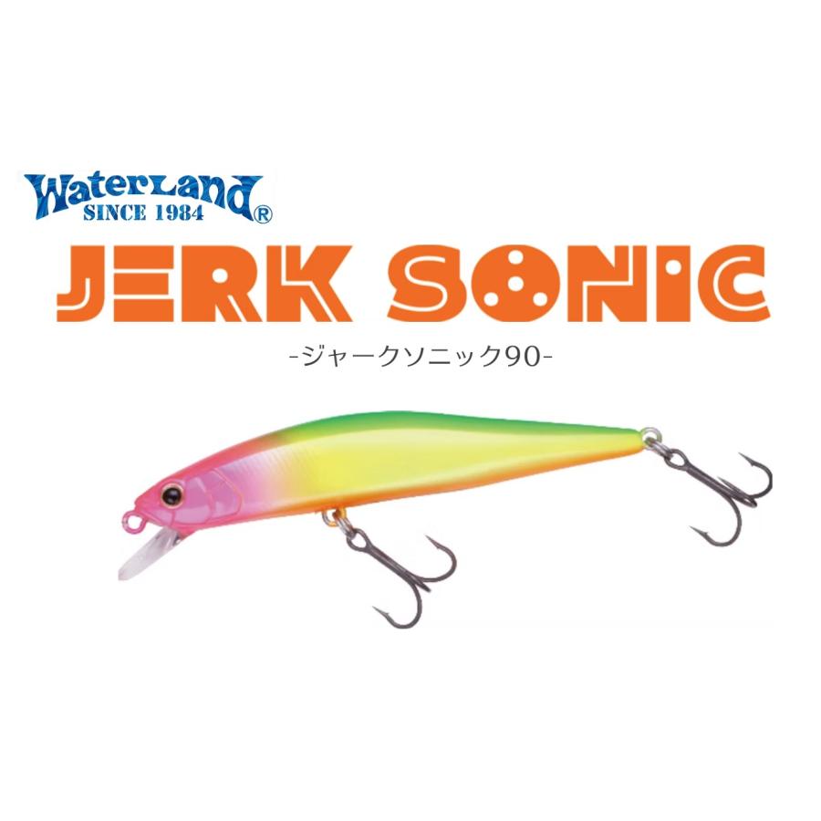 WaterLand（ウォーターランド） ジャークソニック90 シンキング