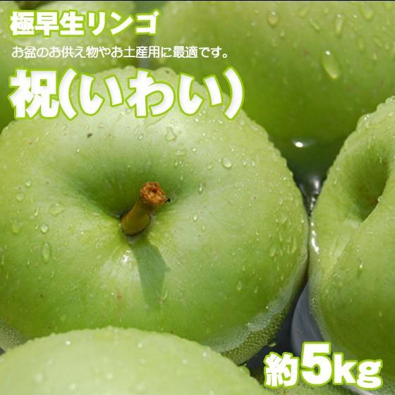 祝(いわい) 極早生 青りんご 約5kg 懐かしいリンゴ : くだもの屋