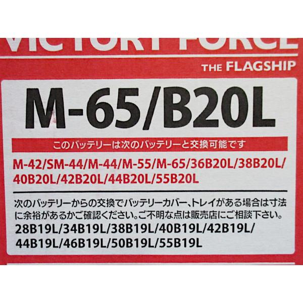 エネオス（ENEOS） 【最大P14倍 3/5限定】エネオス M-65 B20L VICTORY