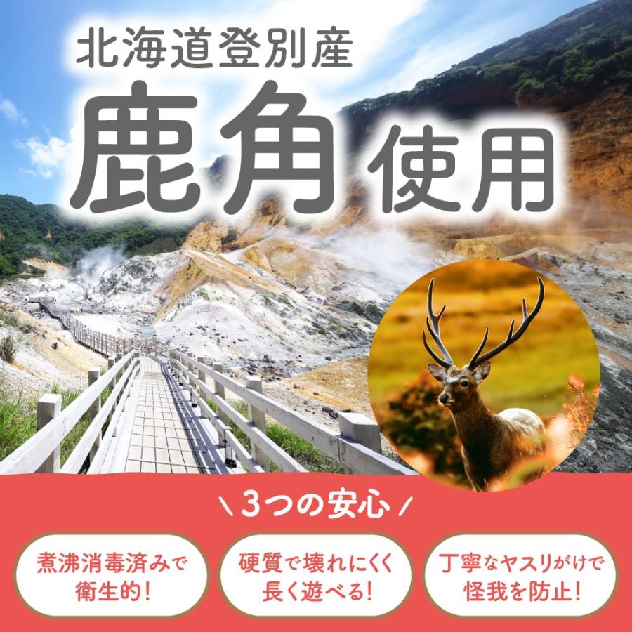 鹿角 犬 エゾシカ 北海道 中サイズ（小型犬〜中型犬に）10〜18cm