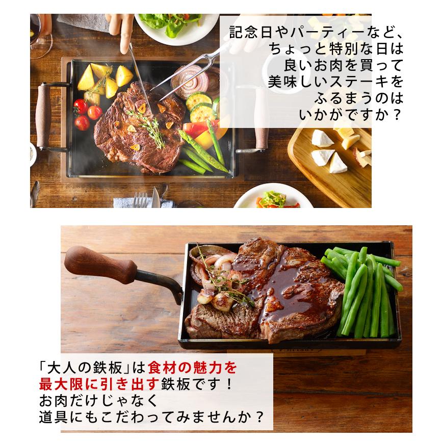 大人の鉄板 IH対応 オークス 日本製 鉄板 小 蓋付き OTS8100 レシピ付