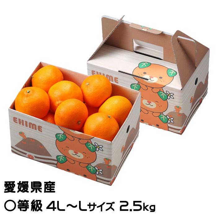 みかん 紅まどんな 〇等級 4L〜Lサイズ 2.5kg みきゃん箱入 愛媛県産