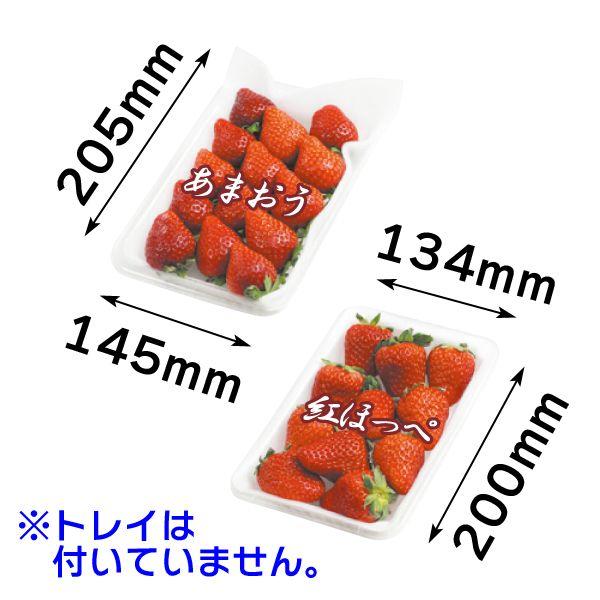 いちごの箱）ストロベリーフィールズ 2P（片面窓付）/100枚入（L-2271