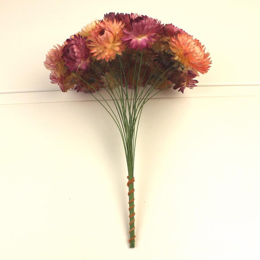 ドライ ヘリクリサムワイヤー付 ピンク 25本 FD003021-002 ドライ