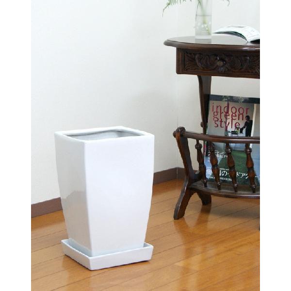 8号陶器鉢(角白) A047-8 (丸白）DS41-W8【用土別売】送料無料 観葉植物