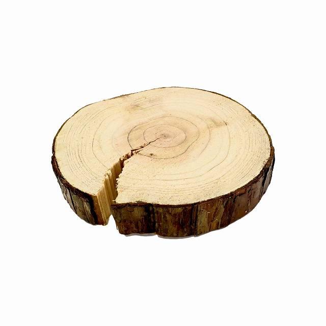 天然木の台座 ディスプレイスタンド スギの木 切り株 約11cm 木製 杉の