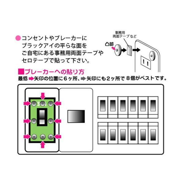 ゆうパケット送料無料※ 『【6個入】 丸山式コイル ブラックアイ 6個入