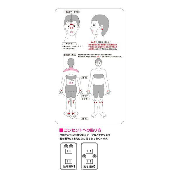 ゆうパケット送料無料※ 『【6個入】 丸山式コイル ブラックアイ 6個入