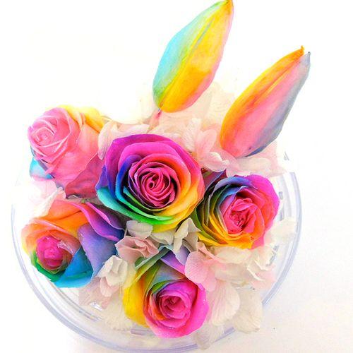 サウンドアレンジ 【楽天ランキング1位】ケース入りレインボー