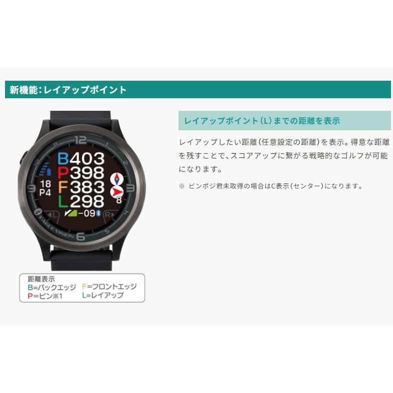 EAGLE VISION イーグルビジョン ACE-PRO- エース プロ GPSゴルフナビ