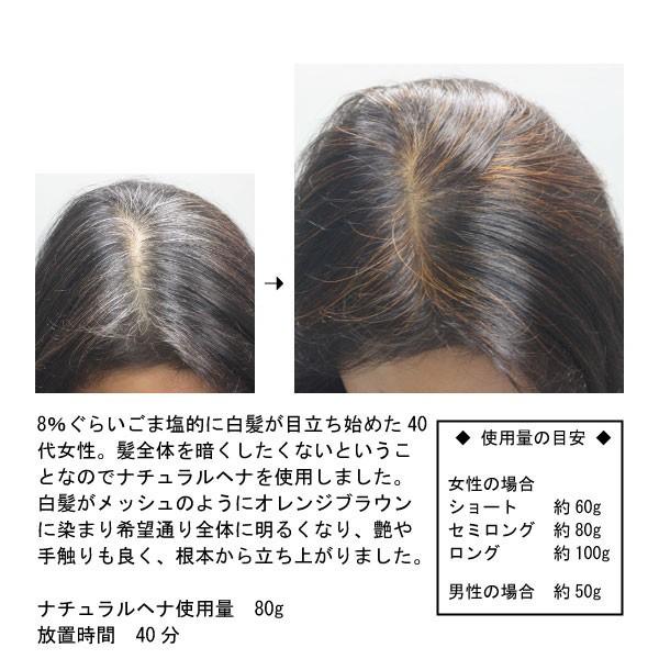 公式ショップ】「お徳用」ヘナ物語 ナチュラルヘナ 100g×2個 最高品質A