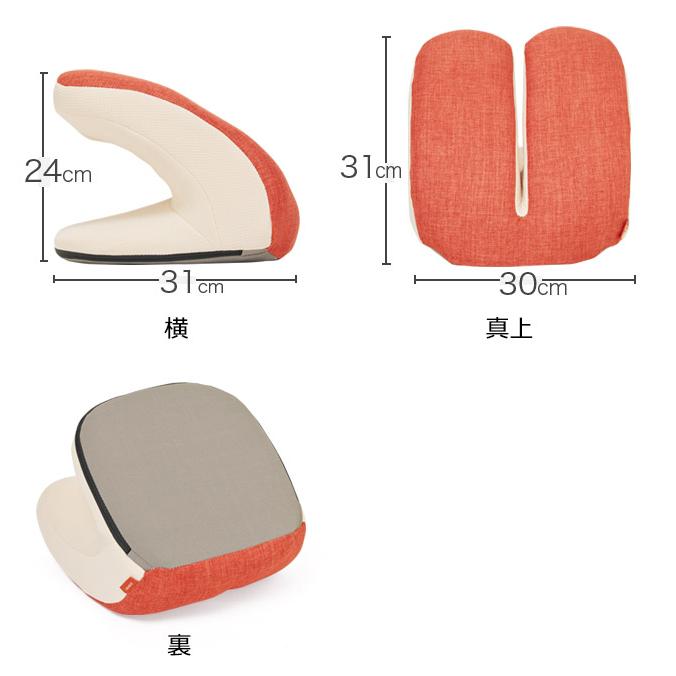 Re 【正規品】フィットネスクラブがつくった バウンドクッション Twin