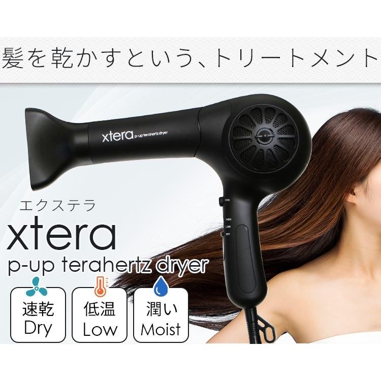 エクステラ P-UP テラヘルツ ドライヤー 速乾 低温 潤い さらさら
