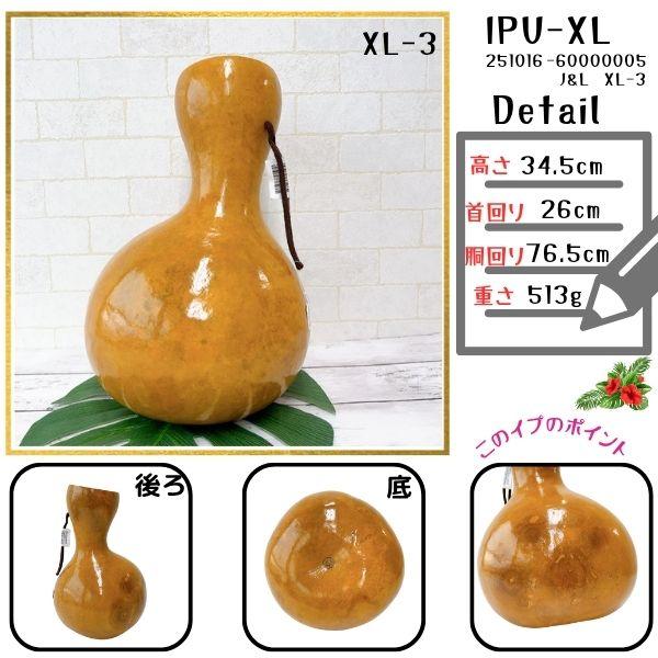 イプ XLサイズ フラ フラダンス 楽器 ハワイ ハワイアン 打楽器