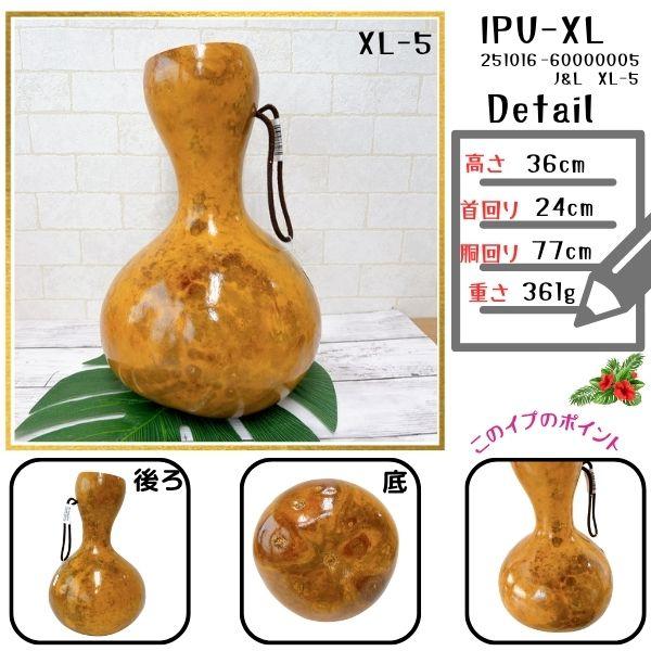 イプ XLサイズ フラ フラダンス 楽器 ハワイ ハワイアン 打楽器