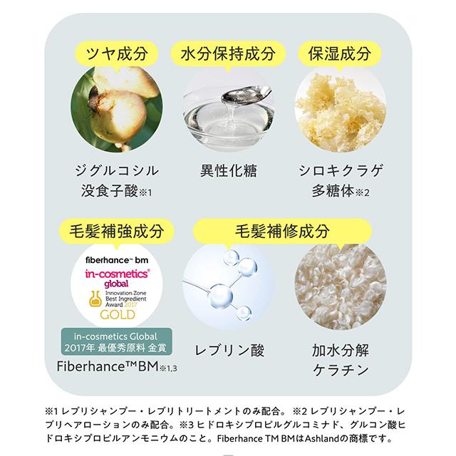 ハホニコ プロ レブリシリーズ 3点セット（シャンプー・トリートメント