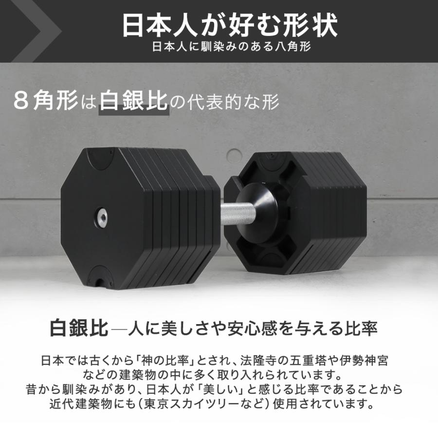 HAIGE（ハイガー） 可変式ダンベル40kg ワンタッチ アジャスタブル