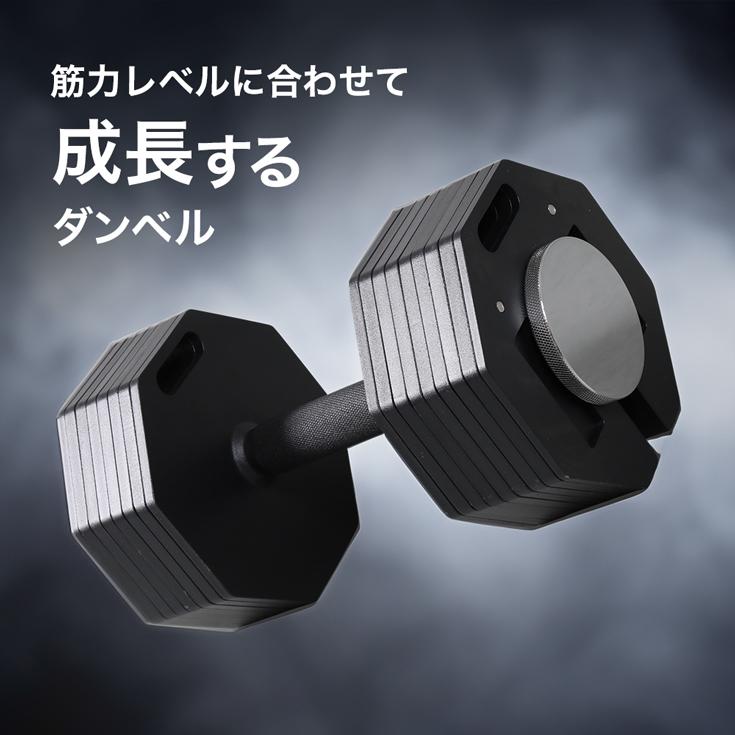 HAIGE（ハイガー） 可変式ダンベル 20kg×2個セット ダンベルセット