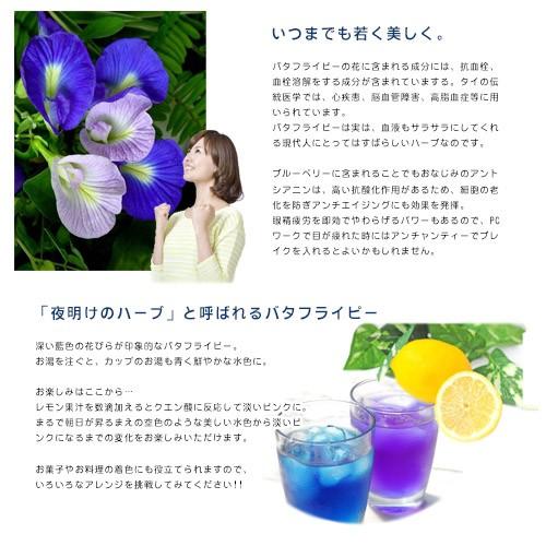 バタフライピーティー ティーバック1g×20包 ハーブティー ちょうまめ