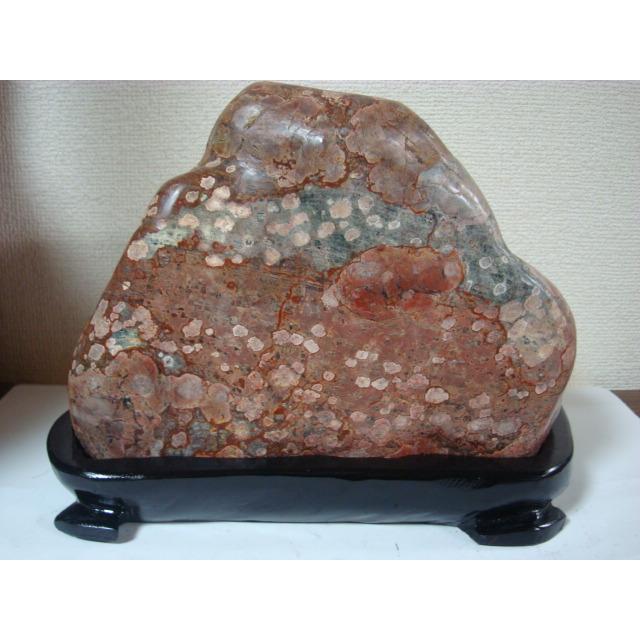 越前紋石28 : 白山紋石庵 - 通販 - Yahoo!ショッピング