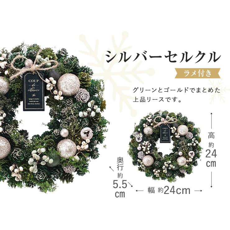 花のギフト社 クリスマスリース Mサイズ ナチュラル ドライ リース