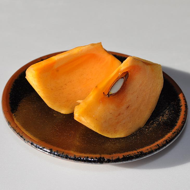 柿 苗木 【完全甘柿 輝太郎（きたろう） ［登録品種］】1年生 接ぎ木苗